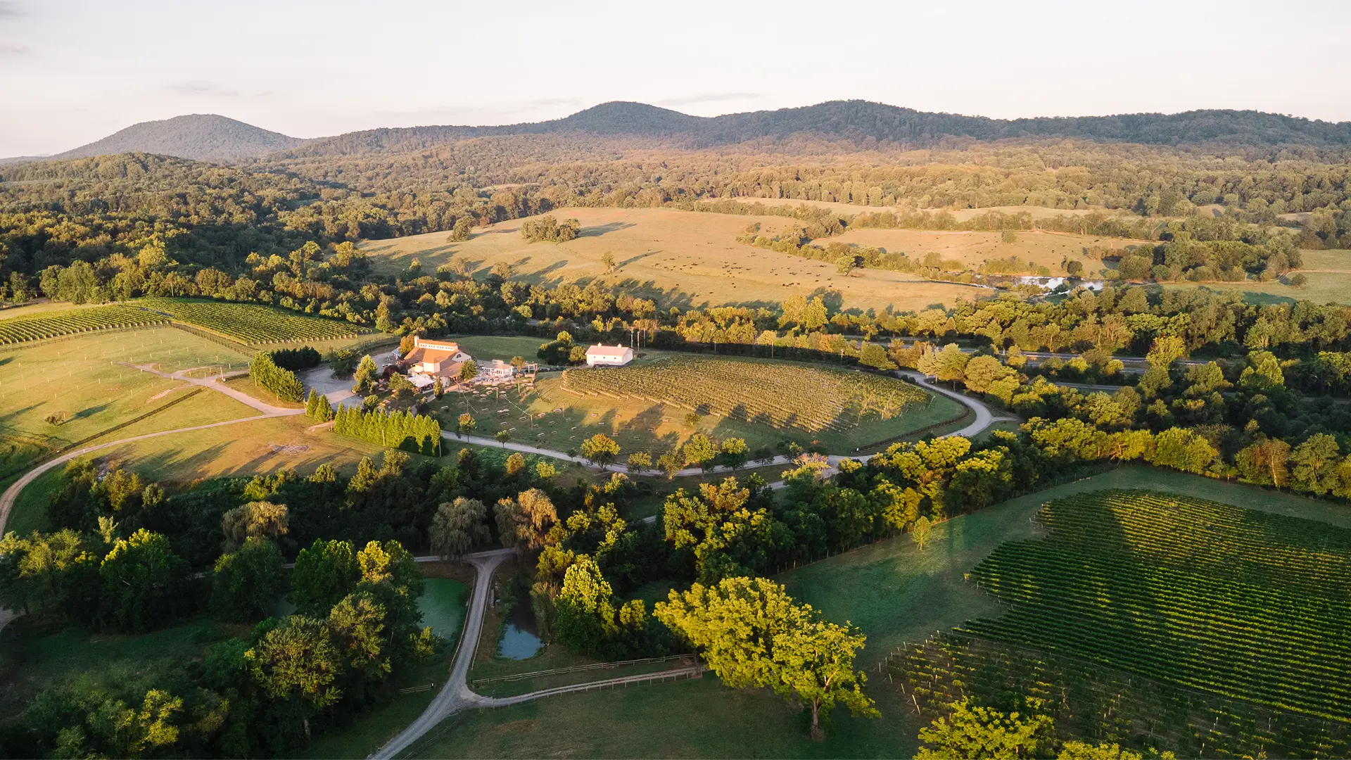 top view of the field