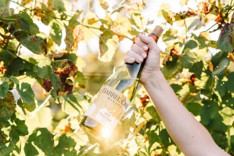 Bottle of Barrel Oak wine in a Virginia vineyard