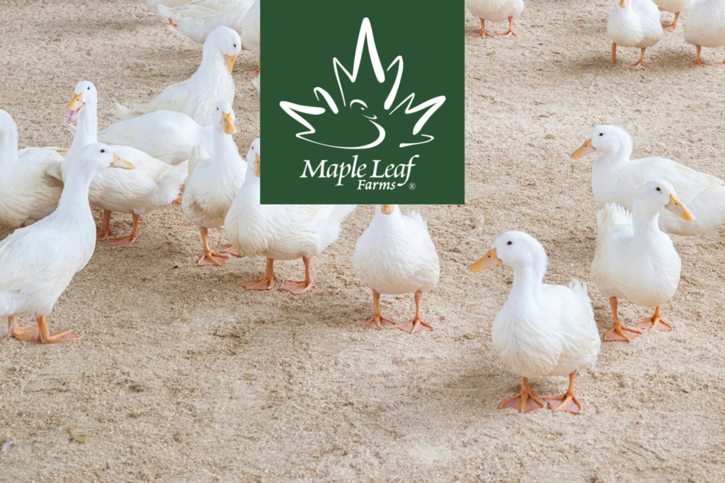 Duck, Wine & Vine event at Barrel Oak