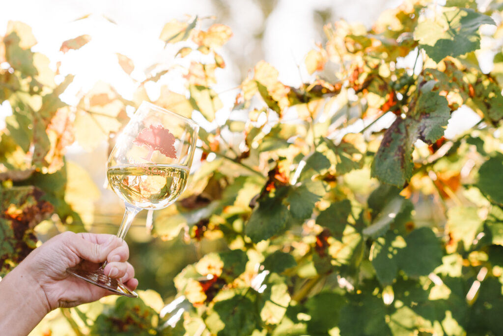 Market Table Bistro Event at Barrel Oak